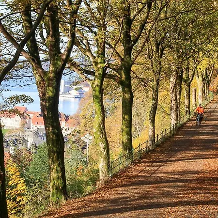 Apartman Dinbnb I On Of The I 400m To Bryggen And Floibanen